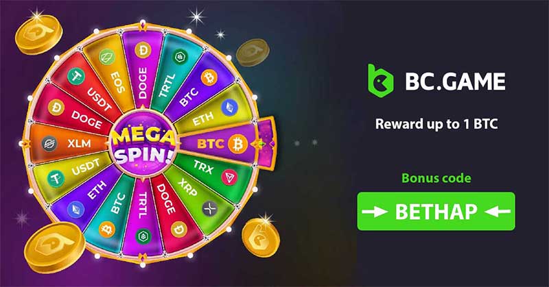 Exploring the Exciting World of Slots BC CO
